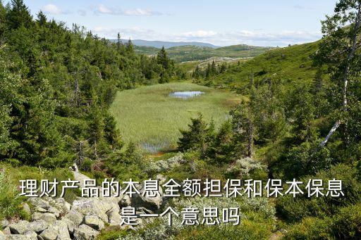  理財產(chǎn)品的本息全額擔(dān)保和保本保息是一個意思嗎
