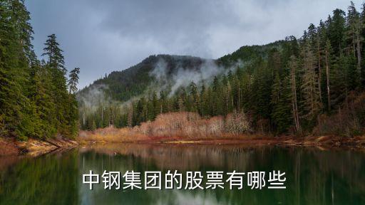 中鋼物業(yè)北京,北京中鋼集團(tuán)總公司