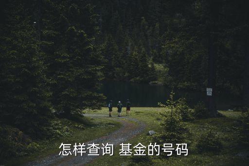 怎樣查詢 基金的號碼