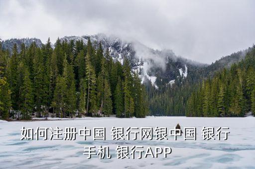 手機銀行自助注冊,農業(yè)銀行手機銀行自助注冊