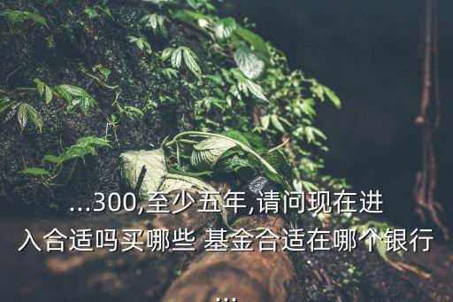 ...300,至少五年,請(qǐng)問(wèn)現(xiàn)在進(jìn)入合適嗎買(mǎi)哪些 基金合適在哪個(gè)銀行...