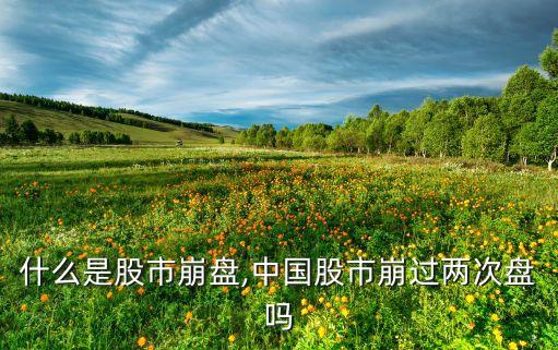什么是股市崩盤(pán),中國(guó)股市崩過(guò)兩次盤(pán)嗎