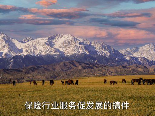 保險行業(yè)服務促發(fā)展的搞件
