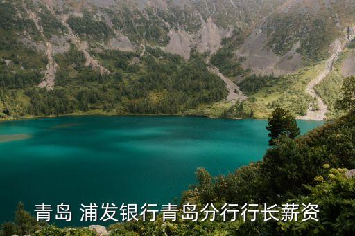 青島 浦發(fā)銀行青島分行行長(zhǎng)薪資