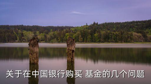 關(guān)于在中國(guó)銀行購(gòu)買 基金的幾個(gè)問(wèn)題