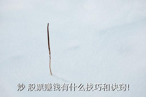 股票要怎樣炒較穩(wěn)妥,怎樣反復炒一只股票