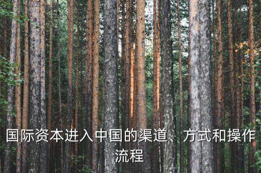 國(guó)際資本進(jìn)入中國(guó)的渠道、方式和操作流程