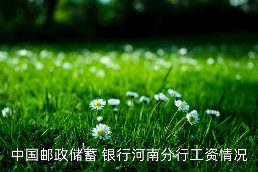 中國郵政儲(chǔ)蓄 銀行河南分行工資情況