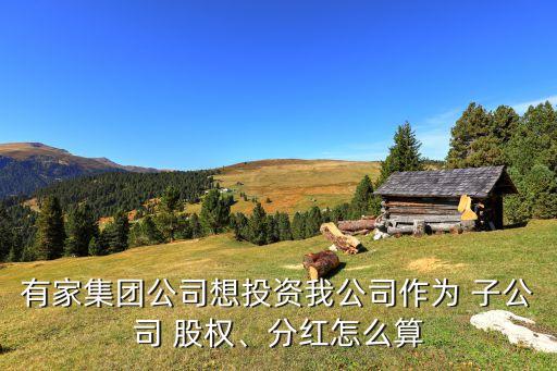 有家集團(tuán)公司想投資我公司作為 子公司 股權(quán)、分紅怎么算