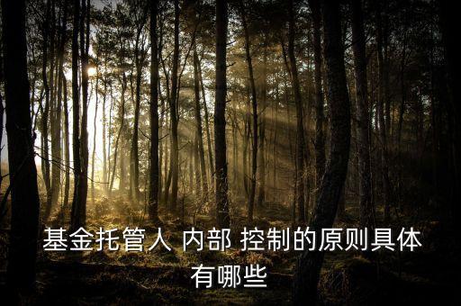 基金管理人內(nèi)部控制的基本要素,不屬于基金管理人內(nèi)部控制的要素構成