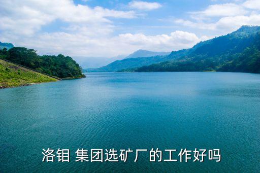  洛鉬 集團(tuán)選礦廠的工作好嗎