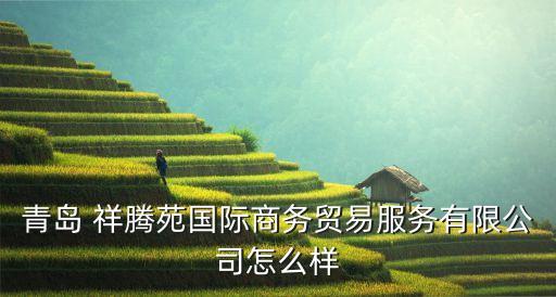 青島 祥騰苑國際商務貿(mào)易服務有限公司怎么樣
