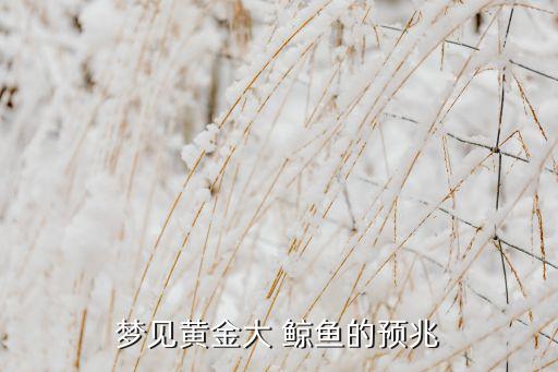 夢見黃金大 鯨魚的預兆