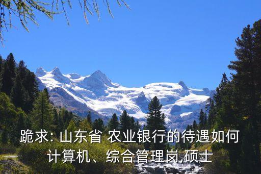 跪求: 山東省 農(nóng)業(yè)銀行的待遇如何計(jì)算機(jī)、綜合管理崗,碩士