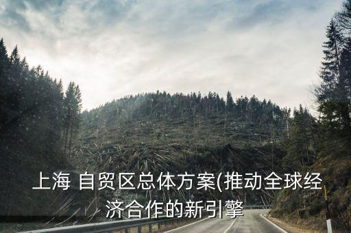  上海 自貿區(qū)總體方案(推動全球經濟合作的新引擎