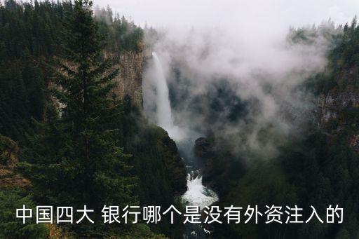中國(guó)四大 銀行哪個(gè)是沒(méi)有外資注入的
