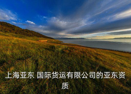 上海亞東 國際貨運有限公司的亞東資質(zhì)