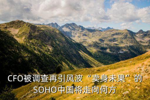 CFO被調(diào)查再引風波“賣身未果”的SOHO中國將走向何方