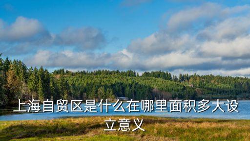上海自由貿(mào)易區(qū)的特點(diǎn),請(qǐng)談?wù)劚泵雷杂少Q(mào)易區(qū)的特點(diǎn)
