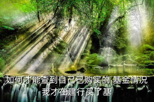 如何才能查到自己已購(gòu)買(mǎi)的 基金情況我才在建行買(mǎi)了基
