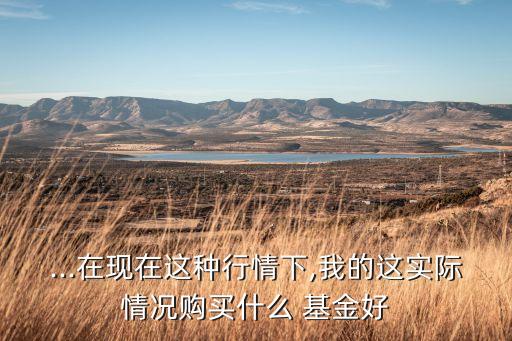 ...在現(xiàn)在這種行情下,我的這實(shí)際情況購(gòu)買什么 基金好
