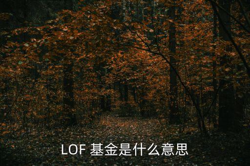 LOF 基金是什么意思