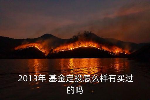 2013年 基金定投怎么樣有買(mǎi)過(guò)的嗎