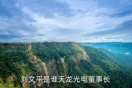 劉文平是誰天龍光電董事長(zhǎng)