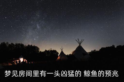 鯨魚(yú)寶平安集團(tuán)擔(dān)保