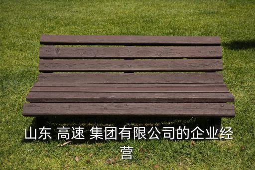  山東 高速 集團有限公司的企業(yè)經(jīng)營
