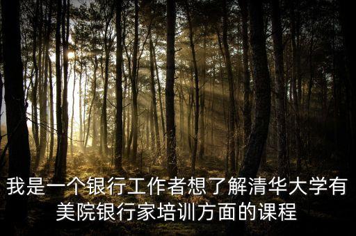 我是一個銀行工作者想了解清華大學有美院銀行家培訓方面的課程