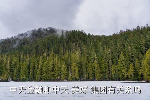 中天金融和中天 美好 集團有關系嗎