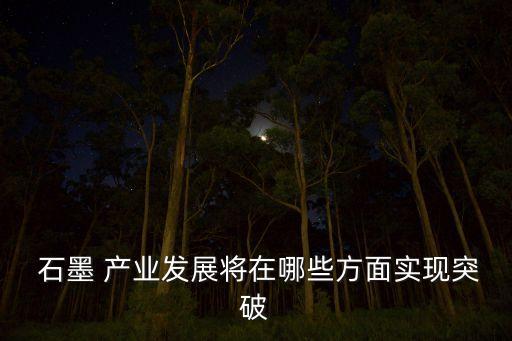  石墨 產業(yè)發(fā)展將在哪些方面實現(xiàn)突破