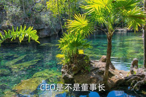 上?；ㄆ旒瘓F(tuán)總裁是誰