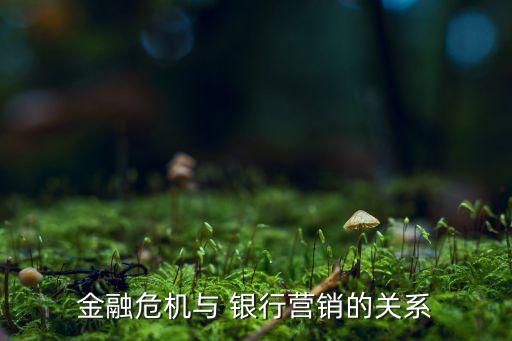 金融危機與 銀行營銷的關系