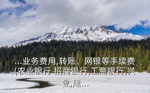 ...業(yè)務(wù)費用,轉(zhuǎn)賬、網(wǎng)銀等手續(xù)費(農(nóng)業(yè)銀行 招商銀行,工商銀行,興業(yè),建...