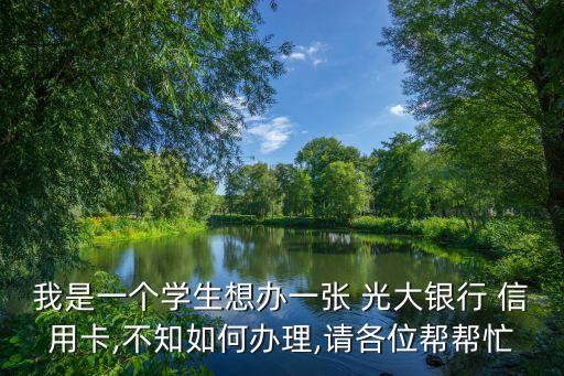 我是一個學生想辦一張 光大銀行 信用卡,不知如何辦理,請各位幫幫忙