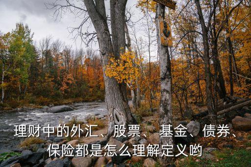 理財中的外匯、股票、 基金、債券、保險都是怎么理解定義喲