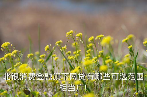 北銀消費金融旗下網貸有哪些可選范圍相當廣!