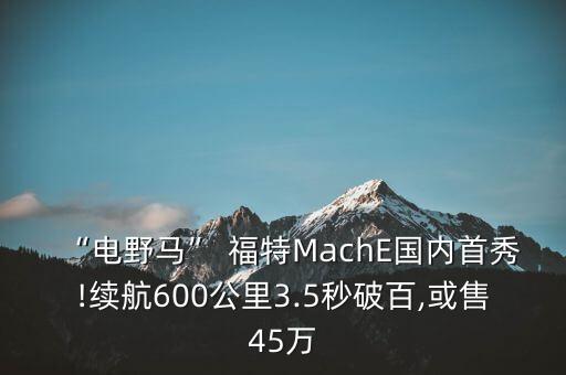 “電野馬” 福特MachE國(guó)內(nèi)首秀!續(xù)航600公里3.5秒破百,或售45萬