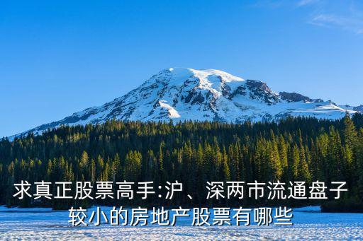 求真正股票高手:滬、深兩市流通盤子較小的房地產(chǎn)股票有哪些