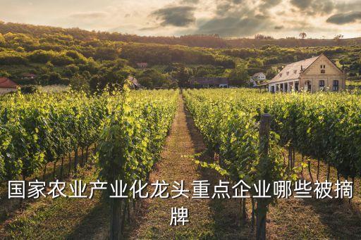 國家農(nóng)業(yè)產(chǎn)業(yè)化龍頭重點(diǎn)企業(yè)哪些被摘牌