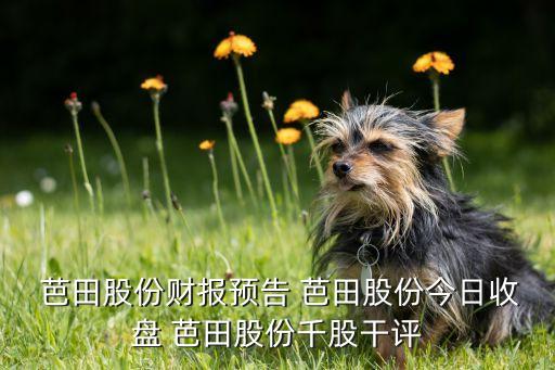  芭田股份財(cái)報(bào)預(yù)告 芭田股份今日收盤 芭田股份千股干評