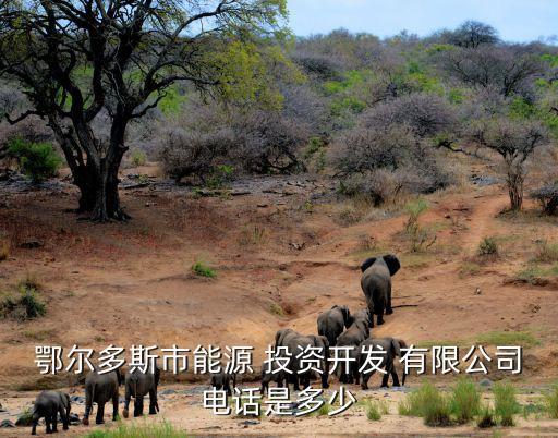 鄂爾多斯市能源 投資開(kāi)發(fā) 有限公司電話是多少