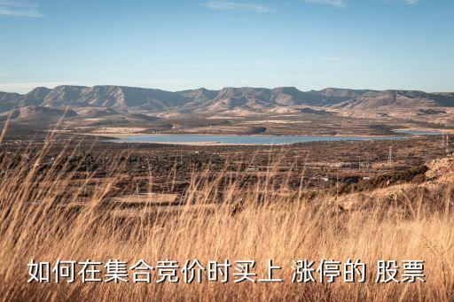 如何在集合競價(jià)時(shí)買上 漲停的 股票