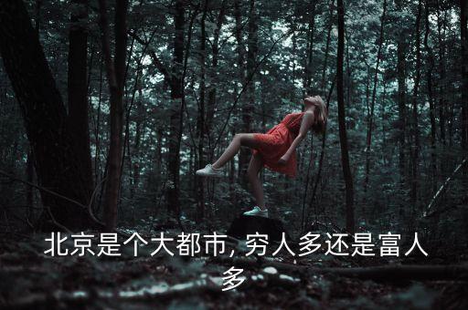  北京是個大都市, 窮人多還是富人多