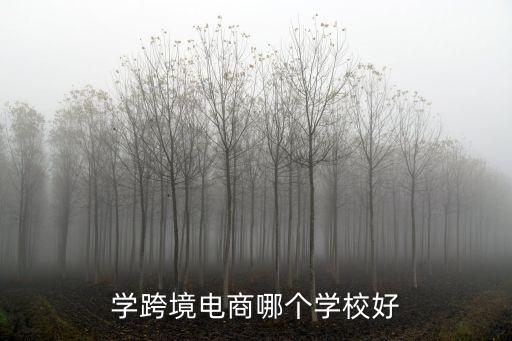 學跨境電商哪個學校好