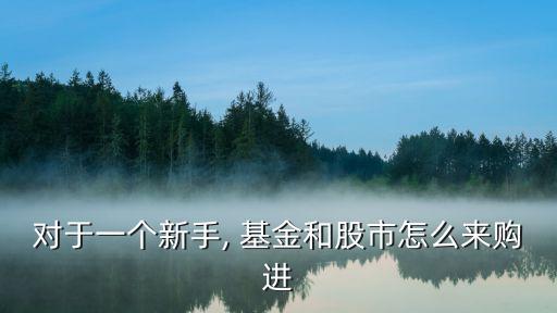 對(duì)于一個(gè)新手, 基金和股市怎么來購(gòu)進(jìn)