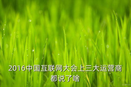 2016中國互聯(lián)網大會上三大運營商都說了啥