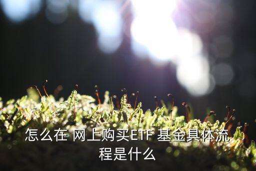 直接在網上買基金,網上教人買基金的可靠嗎